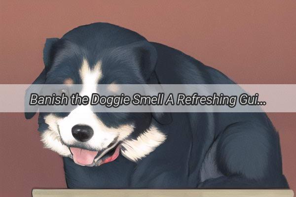 Banish the Doggie Smell A Refreshing Guide to Dog Odor Elimination